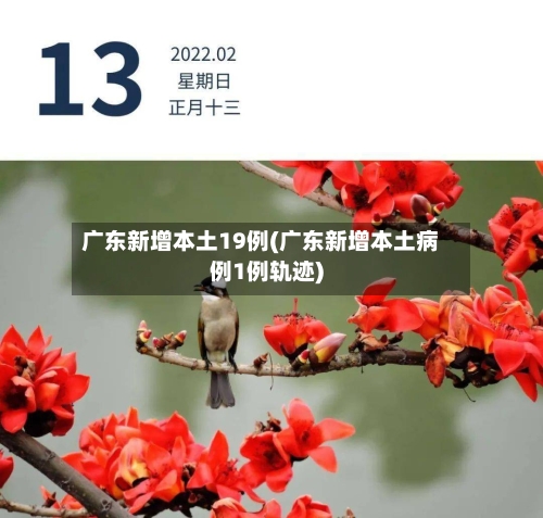 广东新增本土19例(广东新增本土病例1例轨迹)