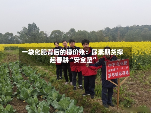 一袋化肥背后的稳价账：尿素期货撑起春耕“安全垫”-第2张图片