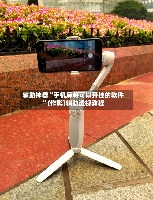 辅助神器“手机麻将可以开挂的软件”(作弊)辅助透视教程