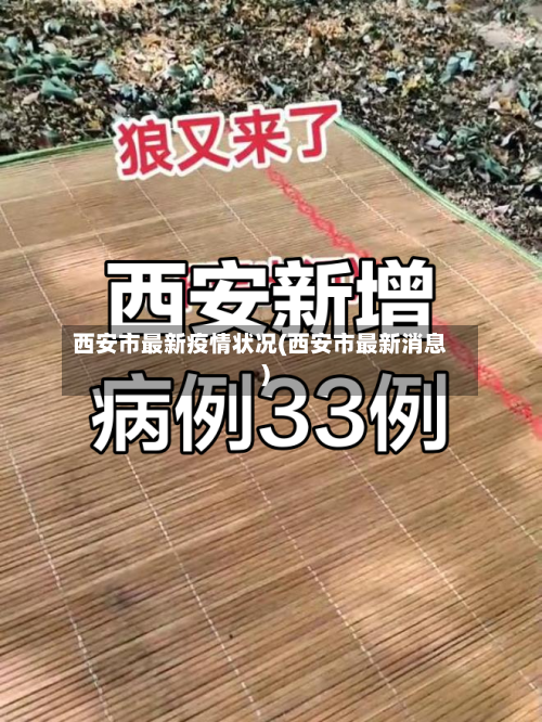 西安市最新疫情状况(西安市最新消息)