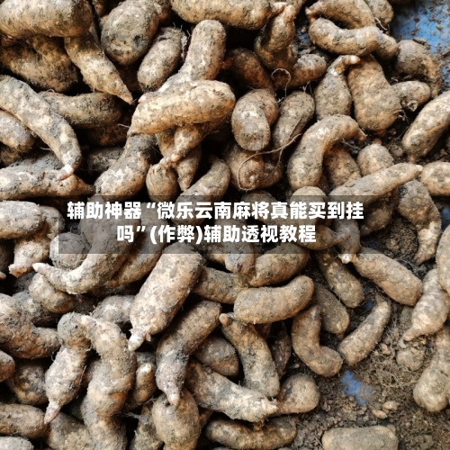 辅助神器“微乐云南麻将真能买到挂吗”(作弊)辅助透视教程