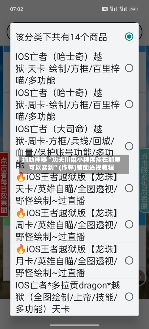 辅助神器“功夫川麻小程序挂在那里可以买到	”(作弊)辅助透视教程-第3张图片