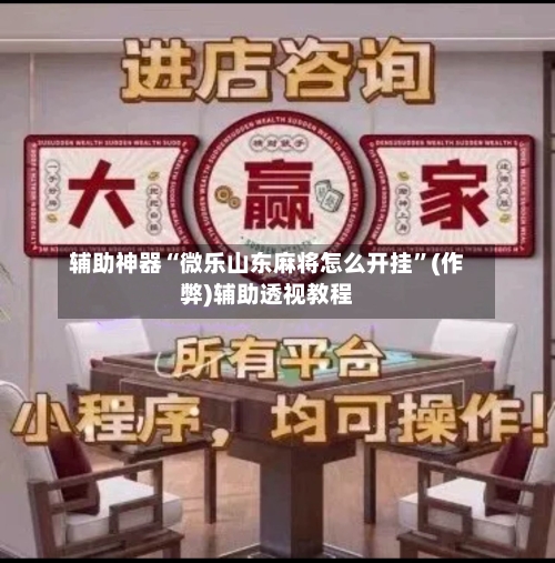 辅助神器“微乐山东麻将怎么开挂”(作弊)辅助透视教程-第2张图片