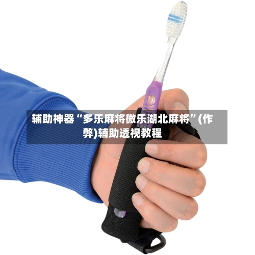 辅助神器“多乐麻将微乐湖北麻将”(作弊)辅助透视教程-第2张图片