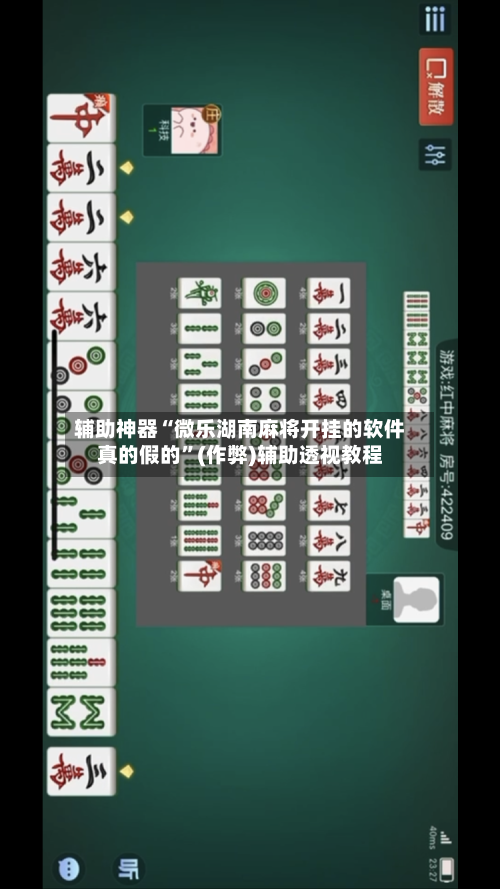 辅助神器“微乐湖南麻将开挂的软件真的假的”(作弊)辅助透视教程