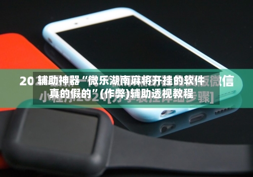 辅助神器“微乐湖南麻将开挂的软件真的假的”(作弊)辅助透视教程-第2张图片