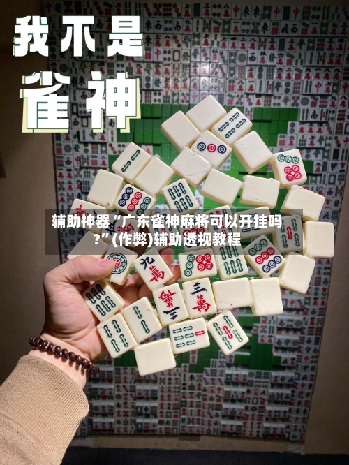 辅助神器“广东雀神麻将可以开挂吗?”(作弊)辅助透视教程-第3张图片