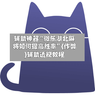 辅助神器“微乐湖北麻将如何提高胜率”(作弊)辅助透视教程