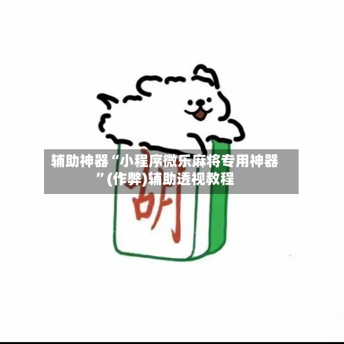 辅助神器“小程序微乐麻将专用神器”(作弊)辅助透视教程-第3张图片