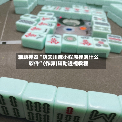 辅助神器“功夫川麻小程序挂叫什么软件”(作弊)辅助透视教程-第3张图片