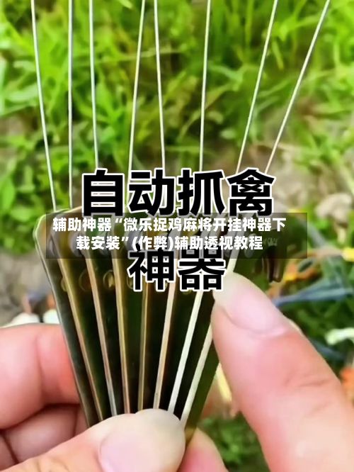 辅助神器“微乐捉鸡麻将开挂神器下载安装”(作弊)辅助透视教程-第3张图片