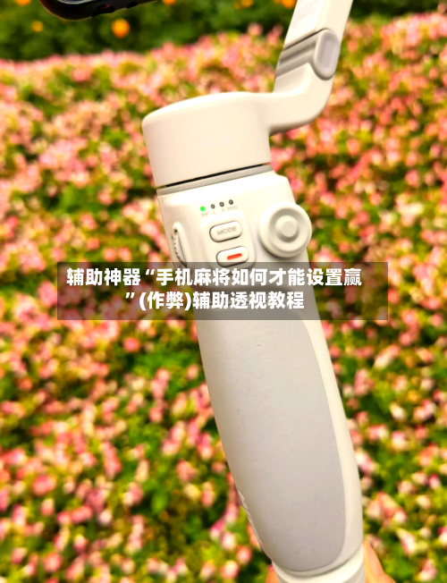 辅助神器“手机麻将如何才能设置赢”(作弊)辅助透视教程-第2张图片