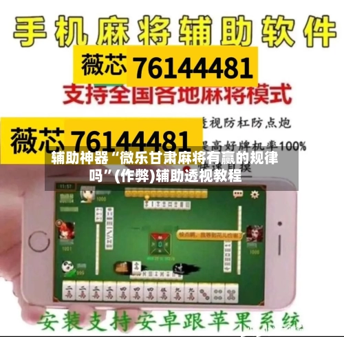 辅助神器“微乐甘肃麻将有赢的规律吗”(作弊)辅助透视教程-第3张图片