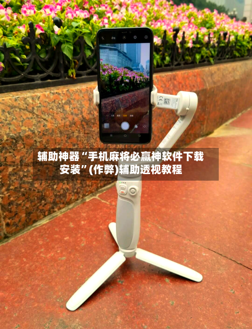 辅助神器“手机麻将必赢神软件下载安装”(作弊)辅助透视教程-第3张图片