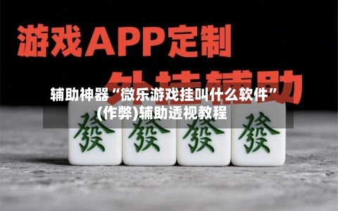 辅助神器“微乐游戏挂叫什么软件”(作弊)辅助透视教程-第2张图片