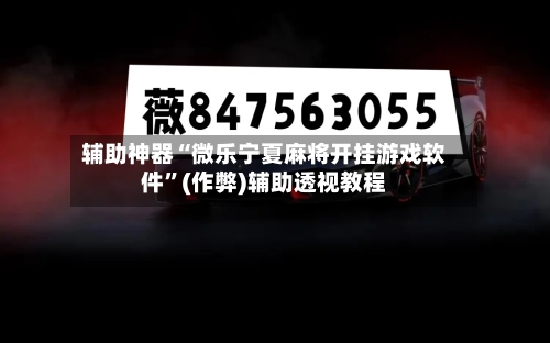辅助神器“微乐宁夏麻将开挂游戏软件”(作弊)辅助透视教程