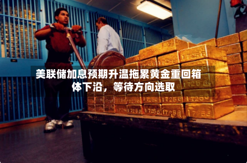美联储加息预期升温拖累黄金重回箱体下沿，等待方向选取-第2张图片