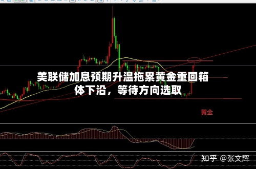 美联储加息预期升温拖累黄金重回箱体下沿，等待方向选取