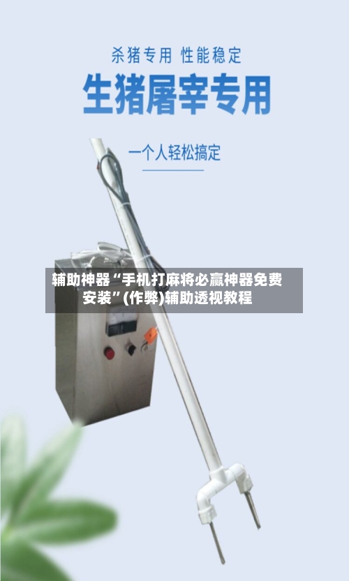 辅助神器“手机打麻将必赢神器免费安装”(作弊)辅助透视教程-第2张图片