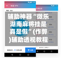 辅助神器“微乐湖南麻将挂是真是假”(作弊)辅助透视教程-第3张图片