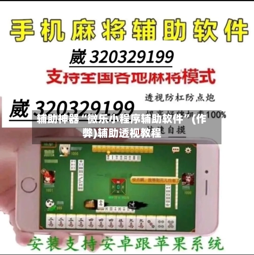 辅助神器“微乐小程序辅助软件”(作弊)辅助透视教程-第2张图片