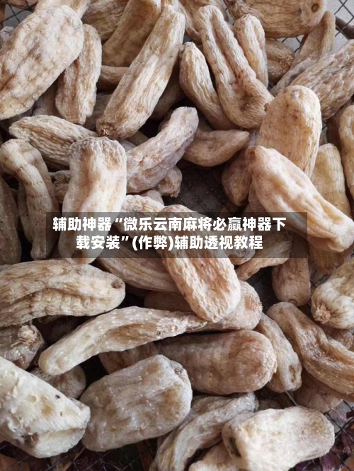 辅助神器“微乐云南麻将必赢神器下载安装”(作弊)辅助透视教程