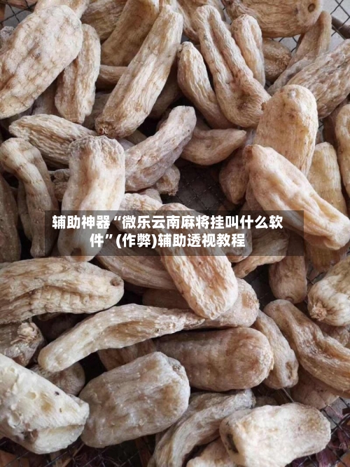 辅助神器“微乐云南麻将挂叫什么软件”(作弊)辅助透视教程