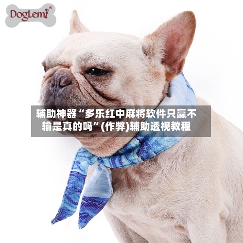 辅助神器“多乐红中麻将软件只赢不输是真的吗”(作弊)辅助透视教程