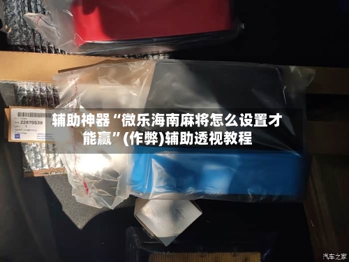 辅助神器“微乐海南麻将怎么设置才能赢”(作弊)辅助透视教程-第3张图片