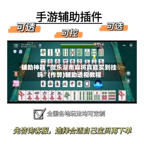 辅助神器“微乐湖南麻将真能买到挂吗	”(作弊)辅助透视教程-第2张图片