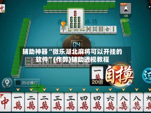 辅助神器“微乐湖北麻将可以开挂的软件”(作弊)辅助透视教程